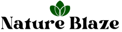 Nature Blaze logo