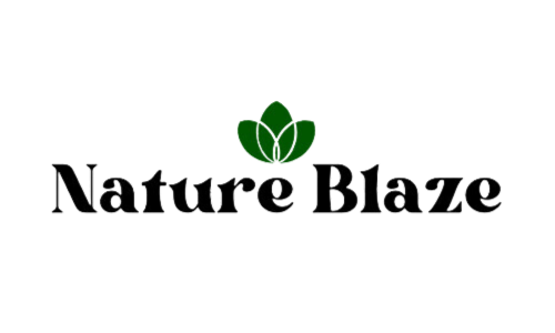 Nature Blaze logo